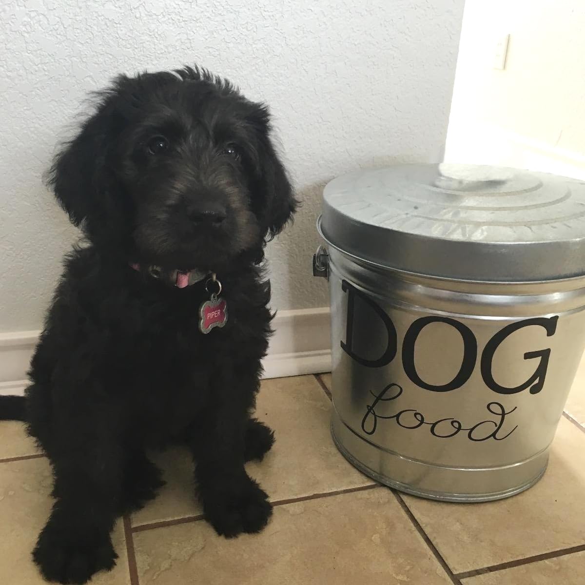6 Gallon Galvanized Steel Locking Trash Can T73276